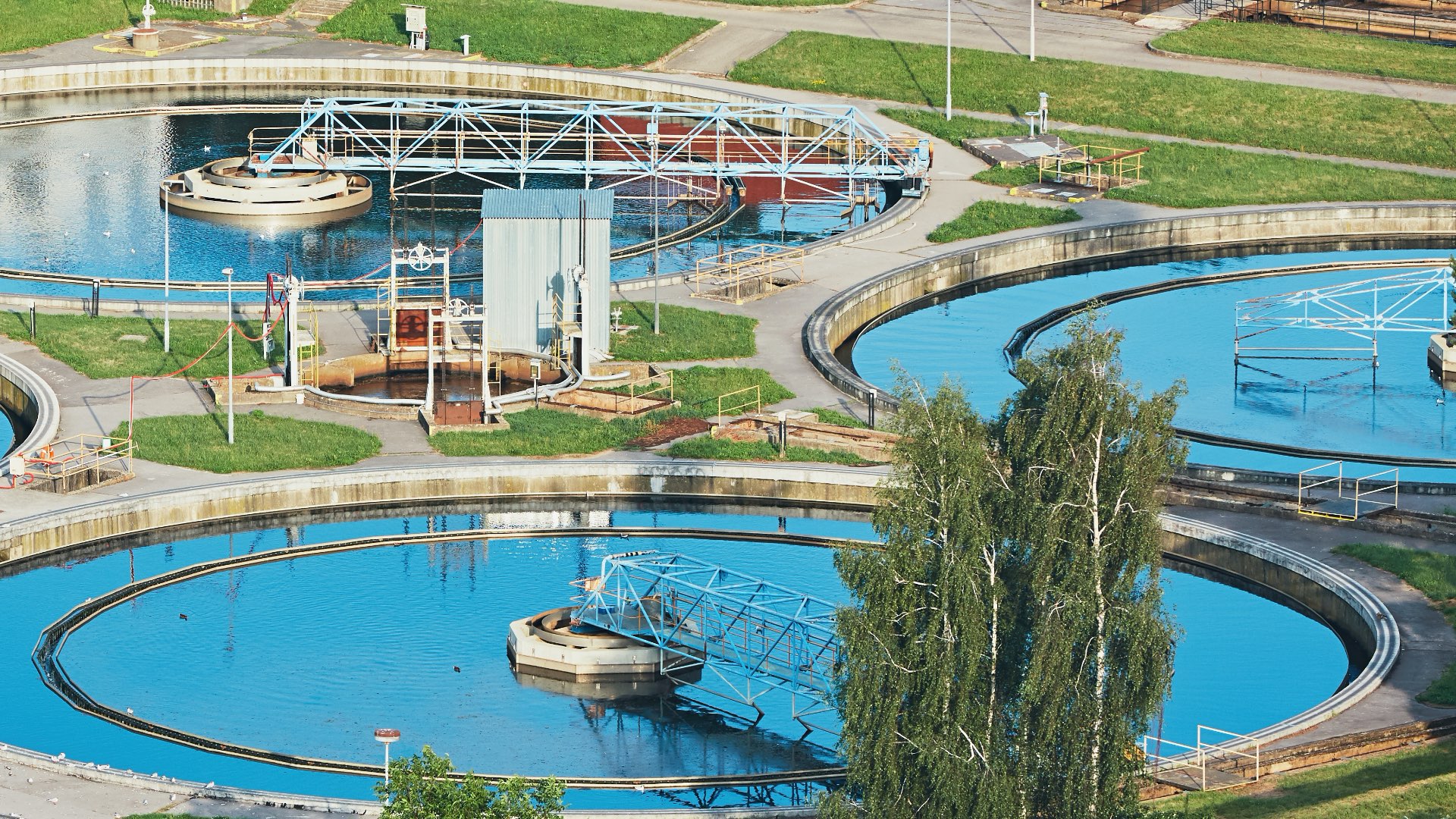 Línea agua